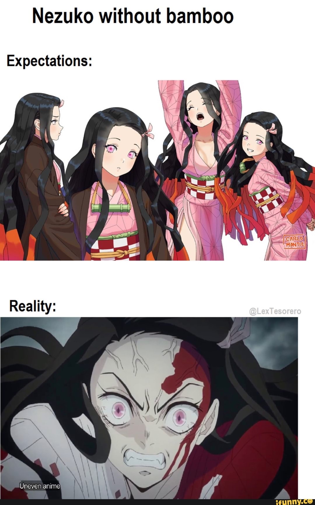 Nezuko without bamboo Expectations: - iFunny