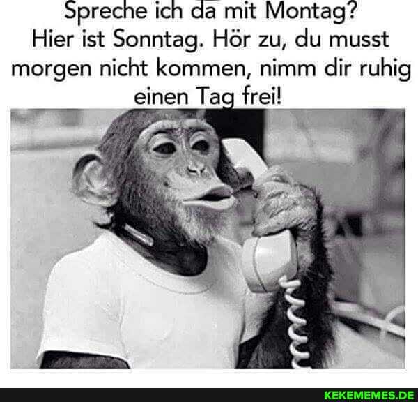 Spreche ich da mit Montag?
Hier ist Sonntag. Hör zu, du musst morgen nicht kommen, nimm dir ruhig einen Tag frei