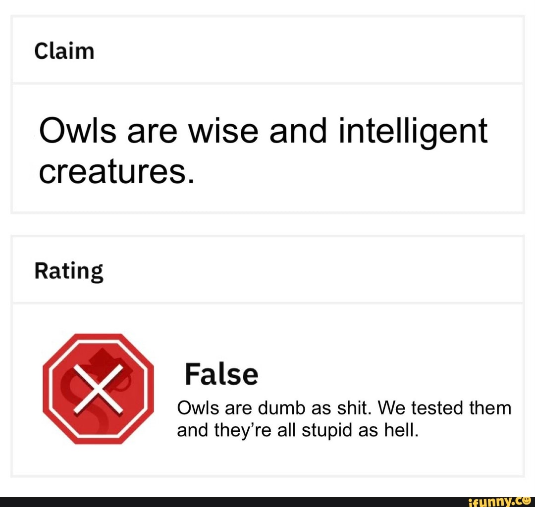 Owls Knees More Than Just A Funny Saying The Unexpected Truth - 8zll9ef