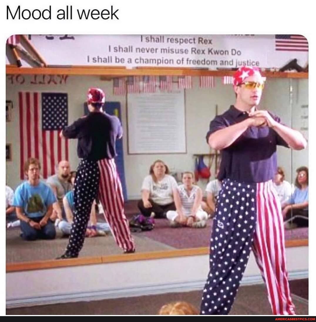 Rex Kwon Do Quotes Mood All Week 'Shiall Respect Rex Shall Never Misuse Rex Kwon Do Shall Be A  Champion Of Freedem And Justice - America's Best Pics And Videos