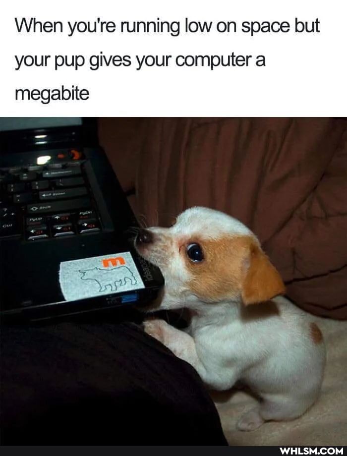 When you're running low on space but
your pup gives your computer a
megabite