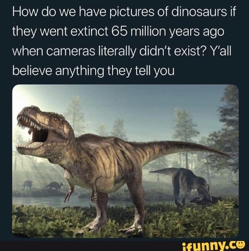 How Do We Have Pictures Of Dinosaurs If They Went Extinct 65 Million 