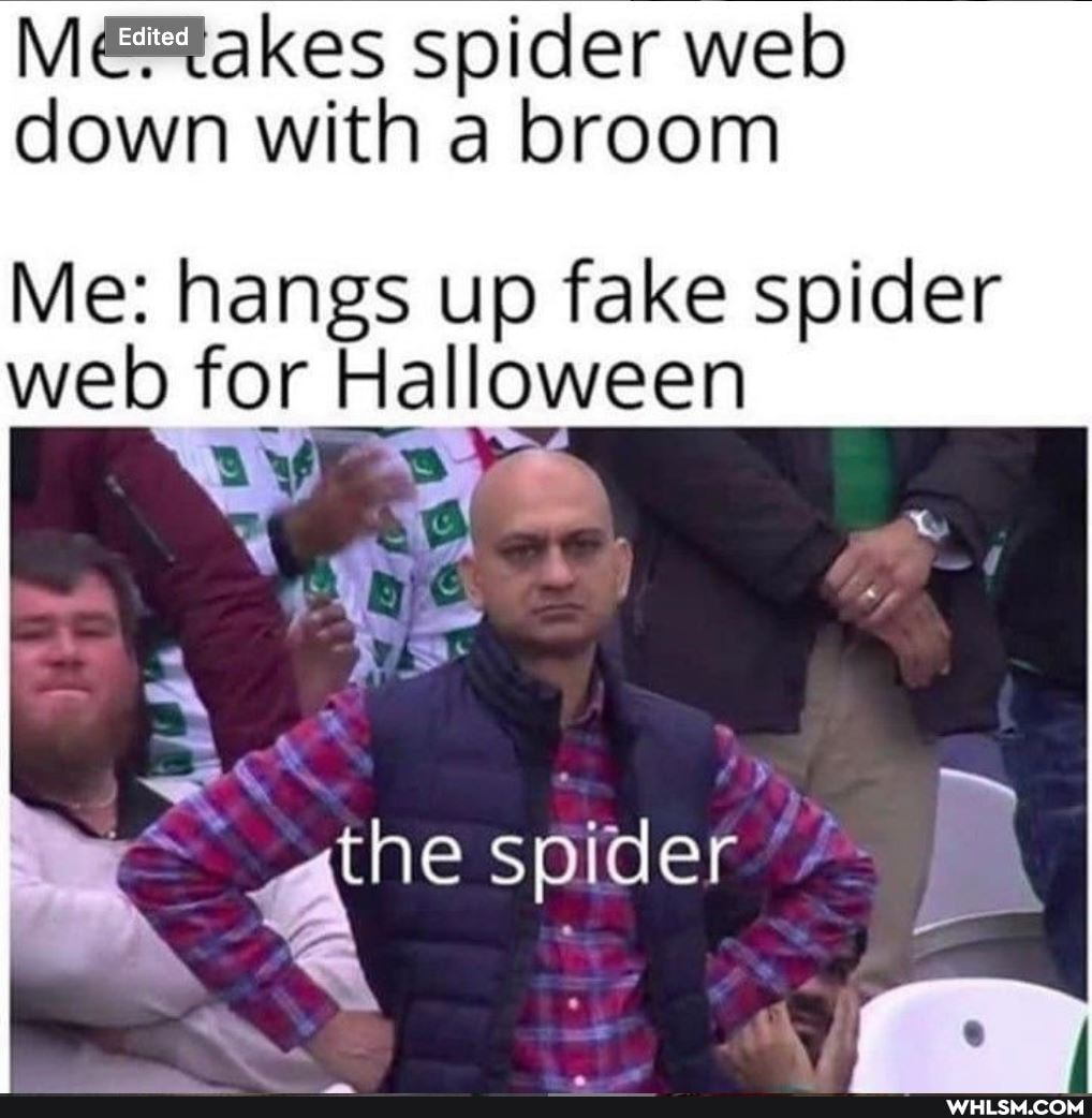 spider web down with a broom
Me: hangs up fake spider web for Halloween
spider