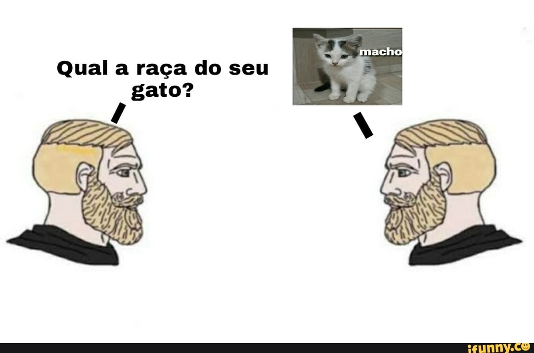 Qual a raça do seu gato?