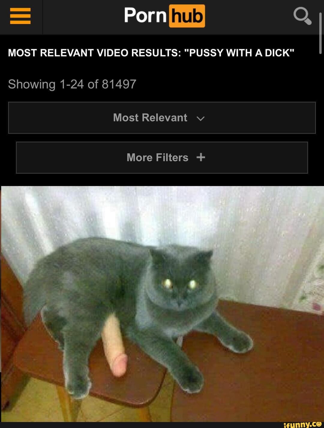 Porn hub MOST RELEVANT VIDEO RESULTS: PUSSY WITH A DICK Showing 1-24 of  81497 Most Relevant v More Filters + - iFunny