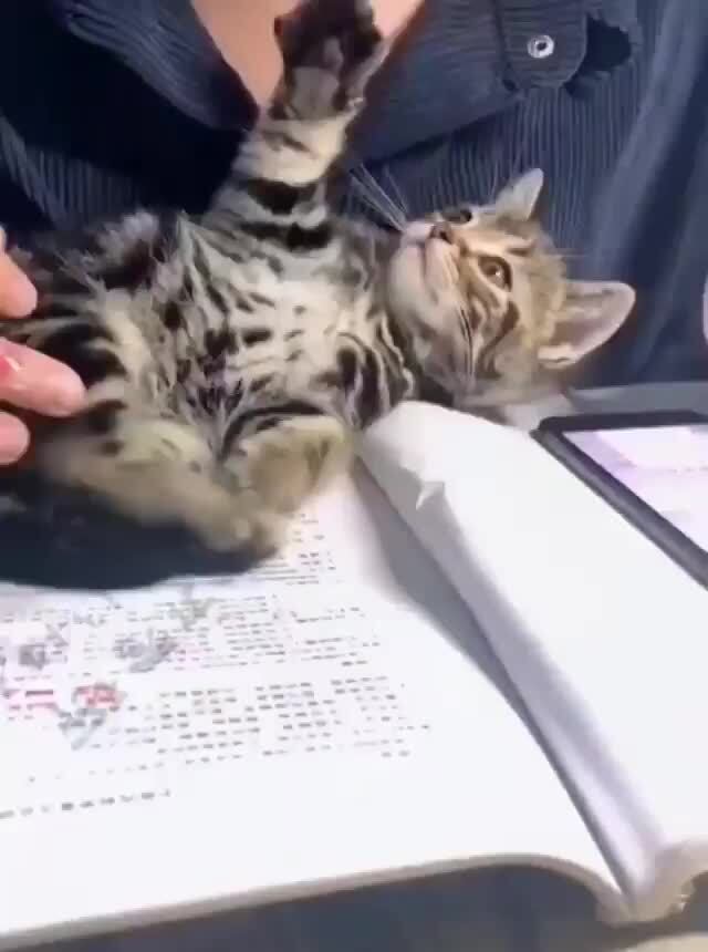 Homework for students image