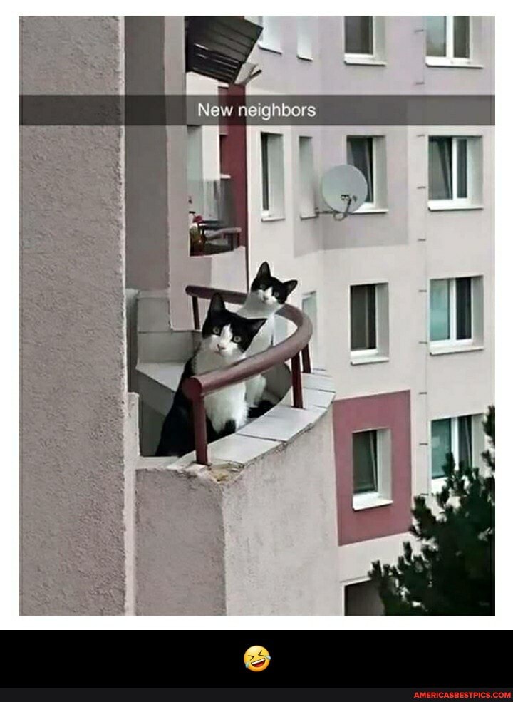 New neighbors - 🤣