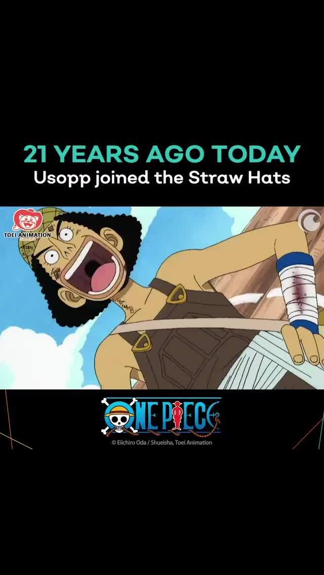 Usopp Memes Best Collection Of Funny Usopp Pictures On Ifunny