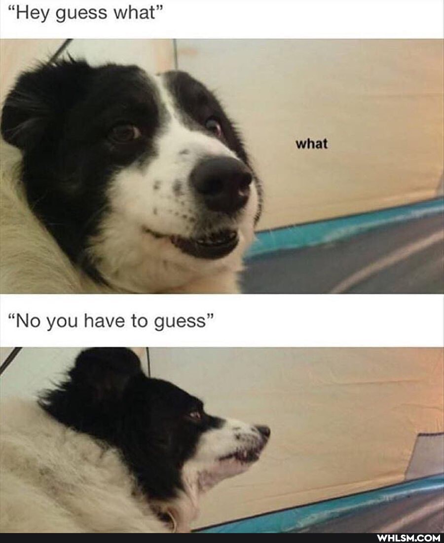 "Hey guess what"
whet
"No you have to guess"