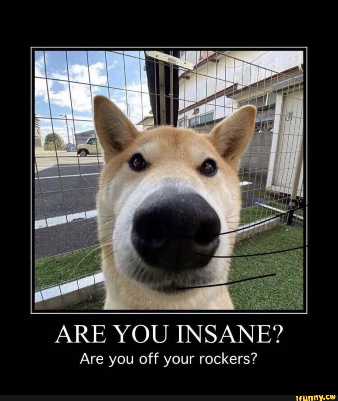 ARE YOU INSANE?
Are you off your rockers?