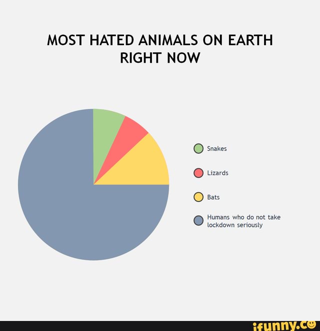 List 91+ Images What Is The Most Hated Animal In The World Full HD, 2k, 4k