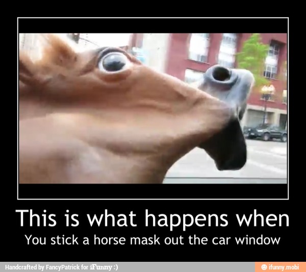 This is what happens when
You stick a horse mask out the car window - This is what happens when
You stick a horse mask out the car window