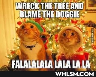 WREGK THE TREE AND BLAME THE DOGGIE
LAY