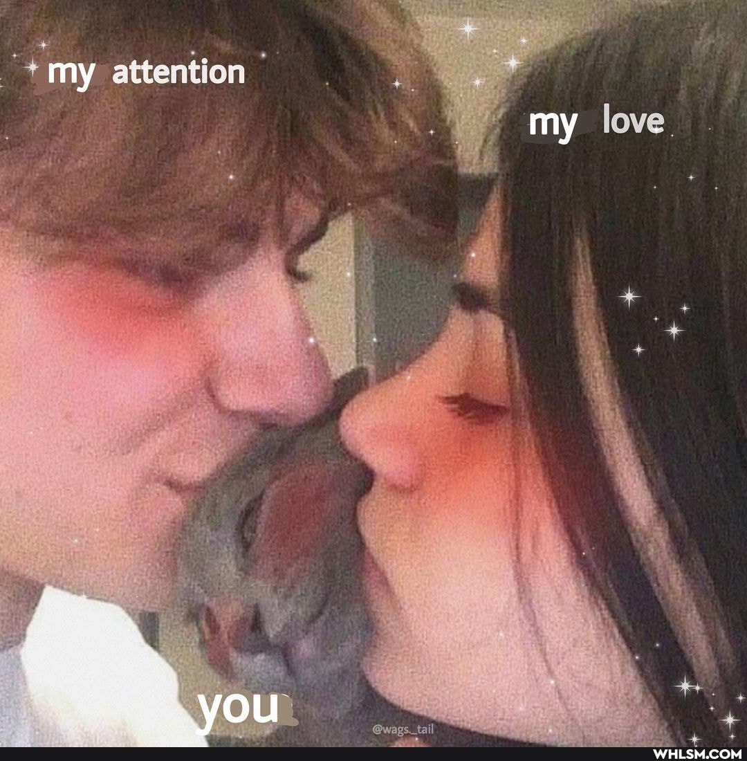 my attention' my love,
yo
@wacs. tail