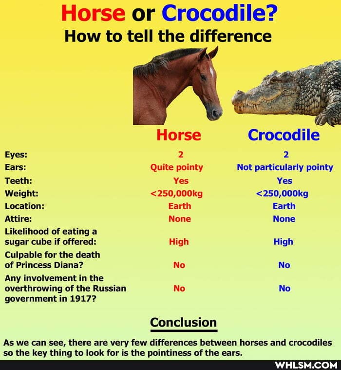 Horse or Crocodile?
How to tell the difference
Eyes:
Ears:
Teeth:
Weight:
Location:
Attire:
Likelihood of eating a sugar cube if offered:
Culpable for the death of Princess Diana?
Any involvement in the overthrowing of the Russian government in 1917?
Horse Crocodile
2
Quite pointy Not particularly pointy
Yes Yes
<250,000kg <250,000kg
Earth Earth
None None
High High
No No
No No
Conclusion
As we can see, there are very few differences between horses and crocodiles