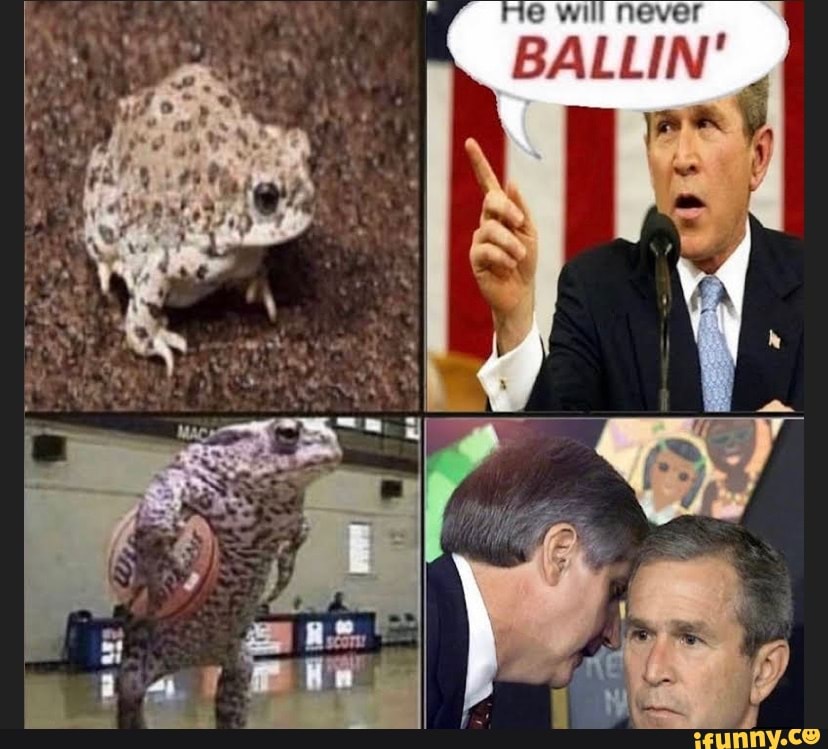 Will never BALLIN - iFunny