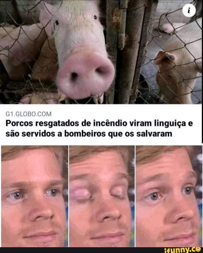 AS
Porcos resgatados de incêndio viram linguiça e
são servidos a bombeiros que os salvaram