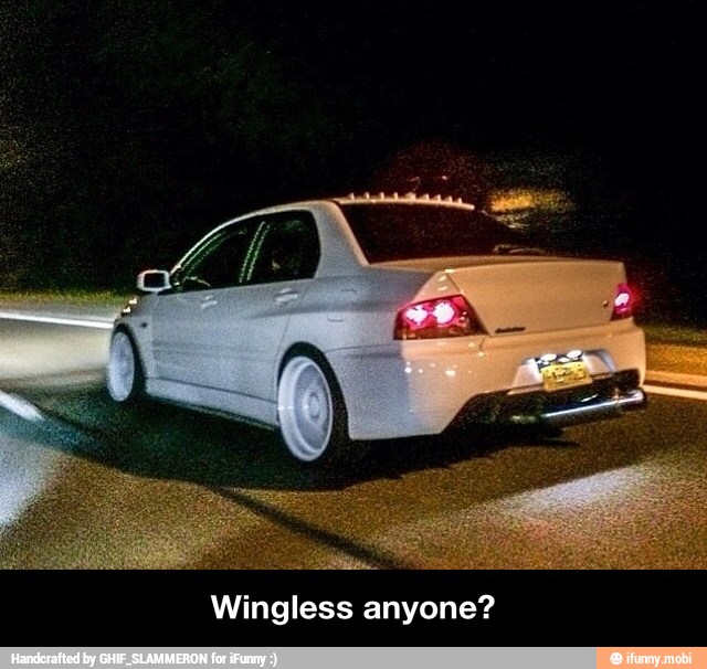Wingless anyone? - Wingless anyone?