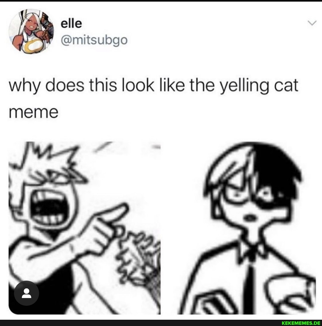 ban elle
@mitsubgo
why does this look like the yelling cat meme
ra\