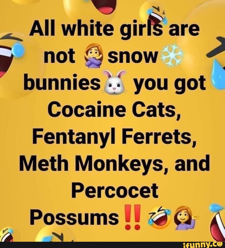 All white girlS are not snow bunnies you got Cocaine Cats, Fentanyl