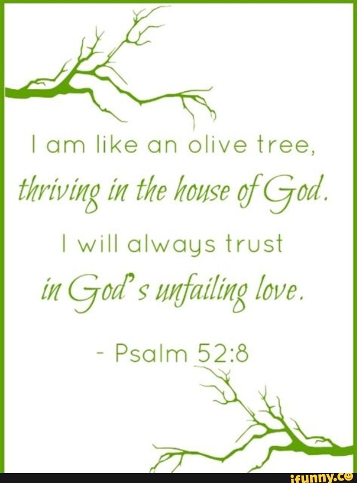 Fe am like an olive tree, thriving in the house of God. I will always ...