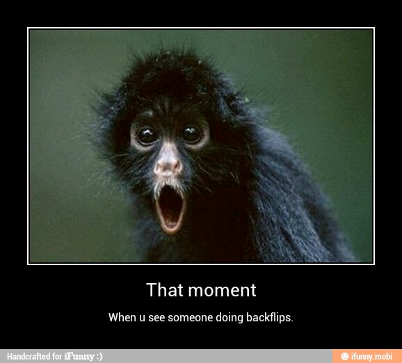 That moment
When u see someone doing backflips. - That moment
When u see someone doing backflips.