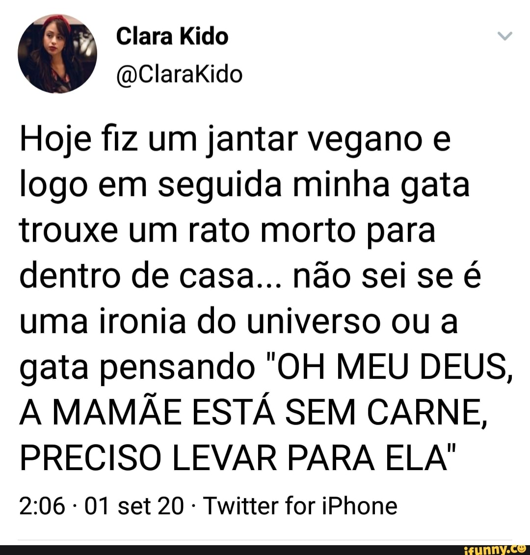 Clara Kido
(QClarakido
Hoje fiz um jantar vegano e logo em seguida minha gata trouxe um rato morto para dentro de casa... não sei se é uma ironia do universo ou a gata pensando 'OH MEU DEUS,
A MAMÃE ESTÁ SEM CARNE,
PRECISO LEVAR PARA ELA'
01 set 20 - Twitter for iPhone