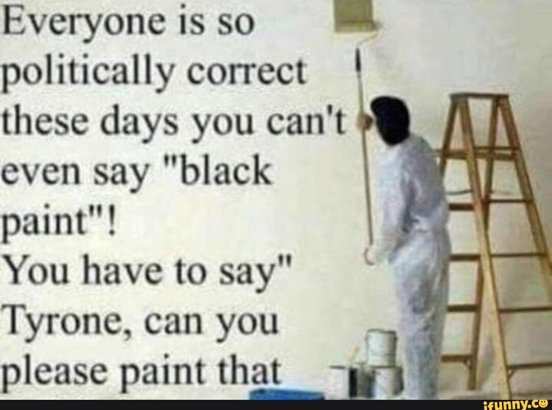 Everyone SO politically correct these days you can't even say "black
paint"!
You have to say"
Tyrone, can you please paint that_