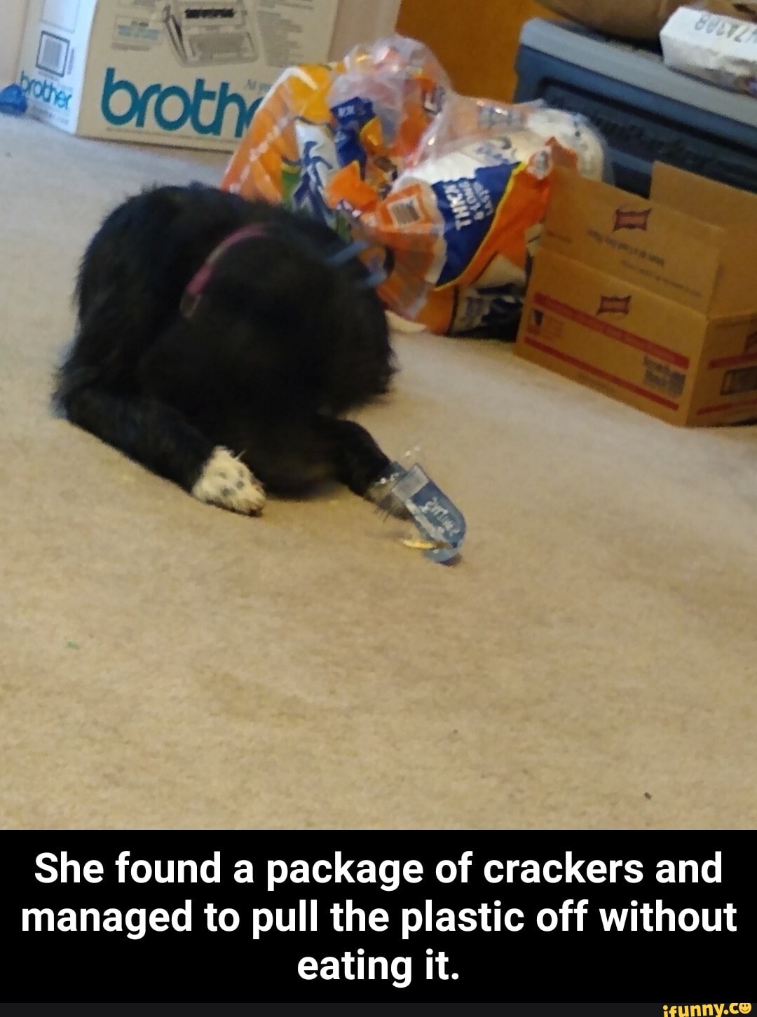 She found a package of crackers and
managed to pull the plastic off without
eating it. - She found a package of crackers and managed to pull the plastic off without eating it.