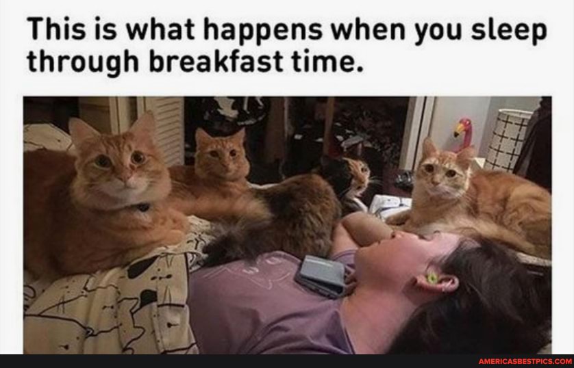 This is what happens when you sleep through breakfast time.
ES