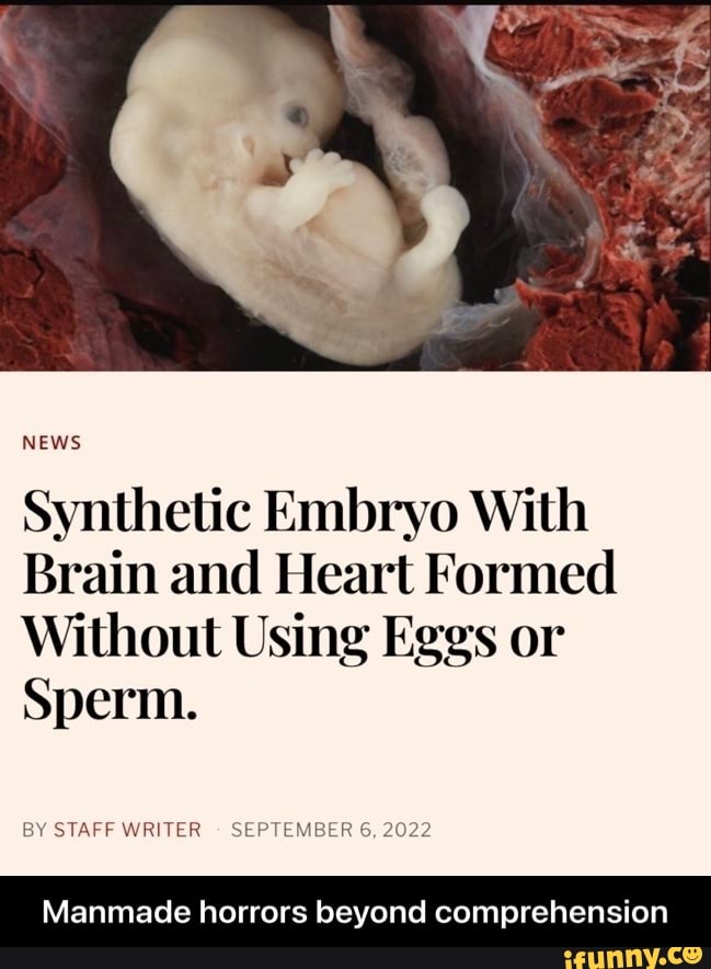 NEWS Synthetic Embryo With Brain and Heart Formed Without Using Eggs or