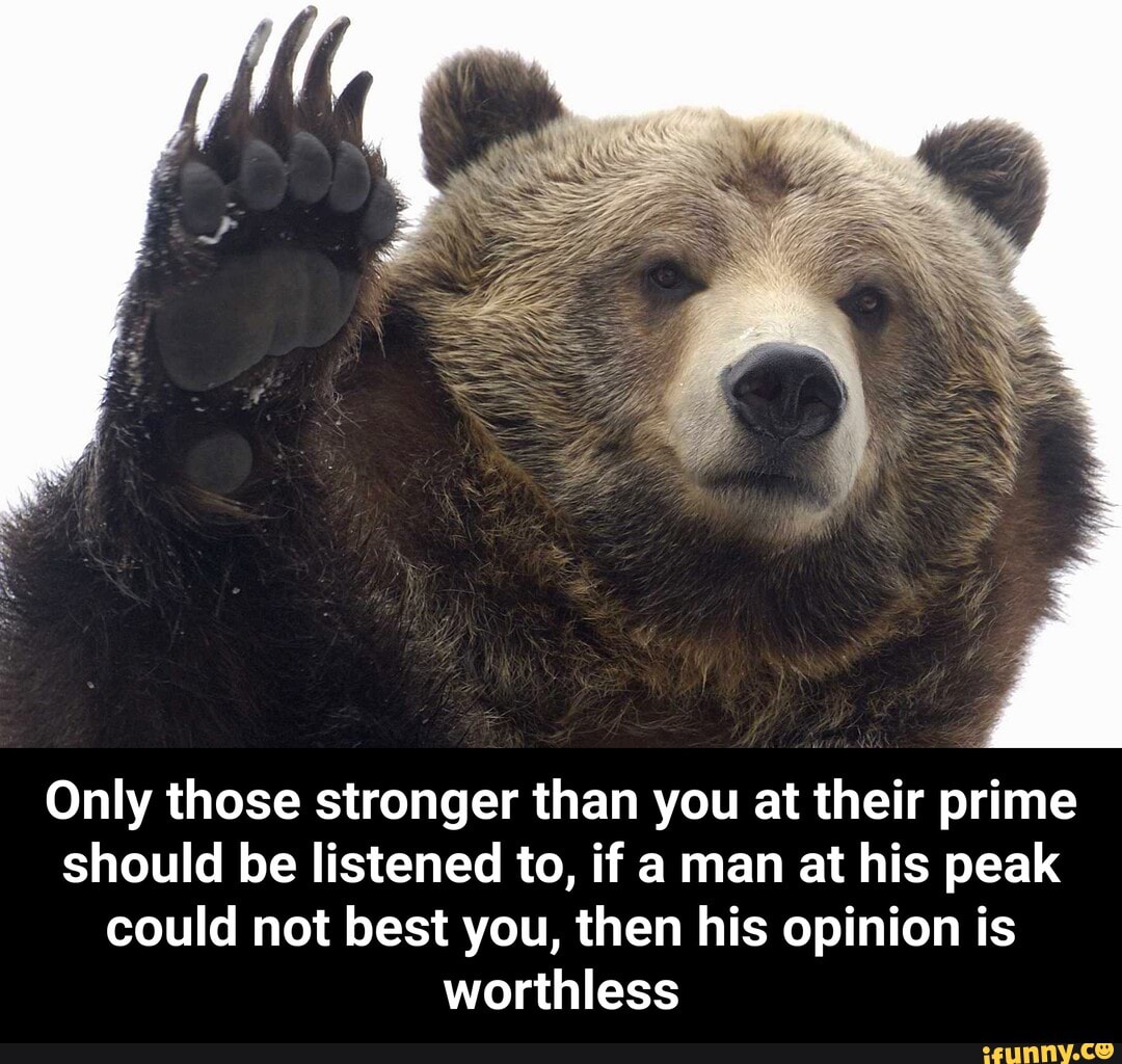 Only those stronger than you at their prime should be listened to, if a man at his peak could not best you, then his opinion is worthless - Only those stronger than you at their prime should be listened to, if a man at his peak could not best you, then his opinion is worthless