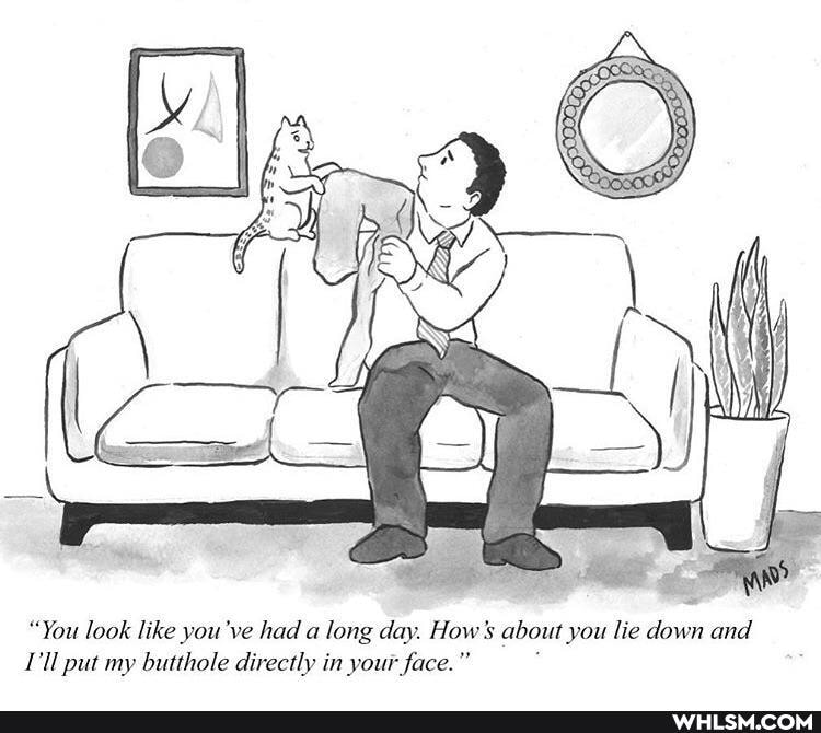 "You look like you've had a long day. How's about you lie down and put my butthole directly in your face."