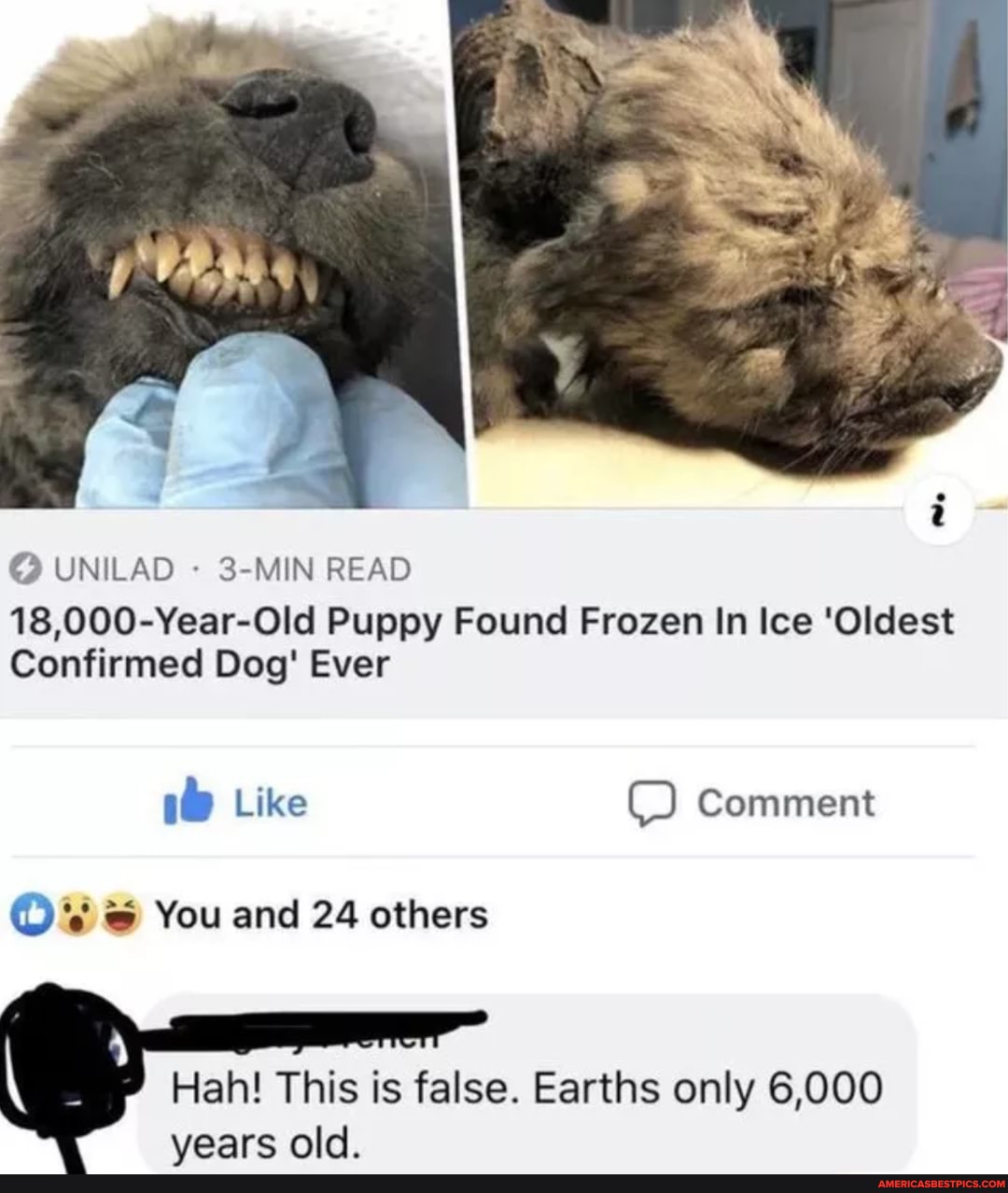 UNILAD 3-MIN READ
18,000-Year-Old Puppy Found Frozen In Ice 'Oldest
Confirmed Dog' Ever
10 Like Comment
You and 24 others
Hah! This is false. Earths only 6,000 vears old.