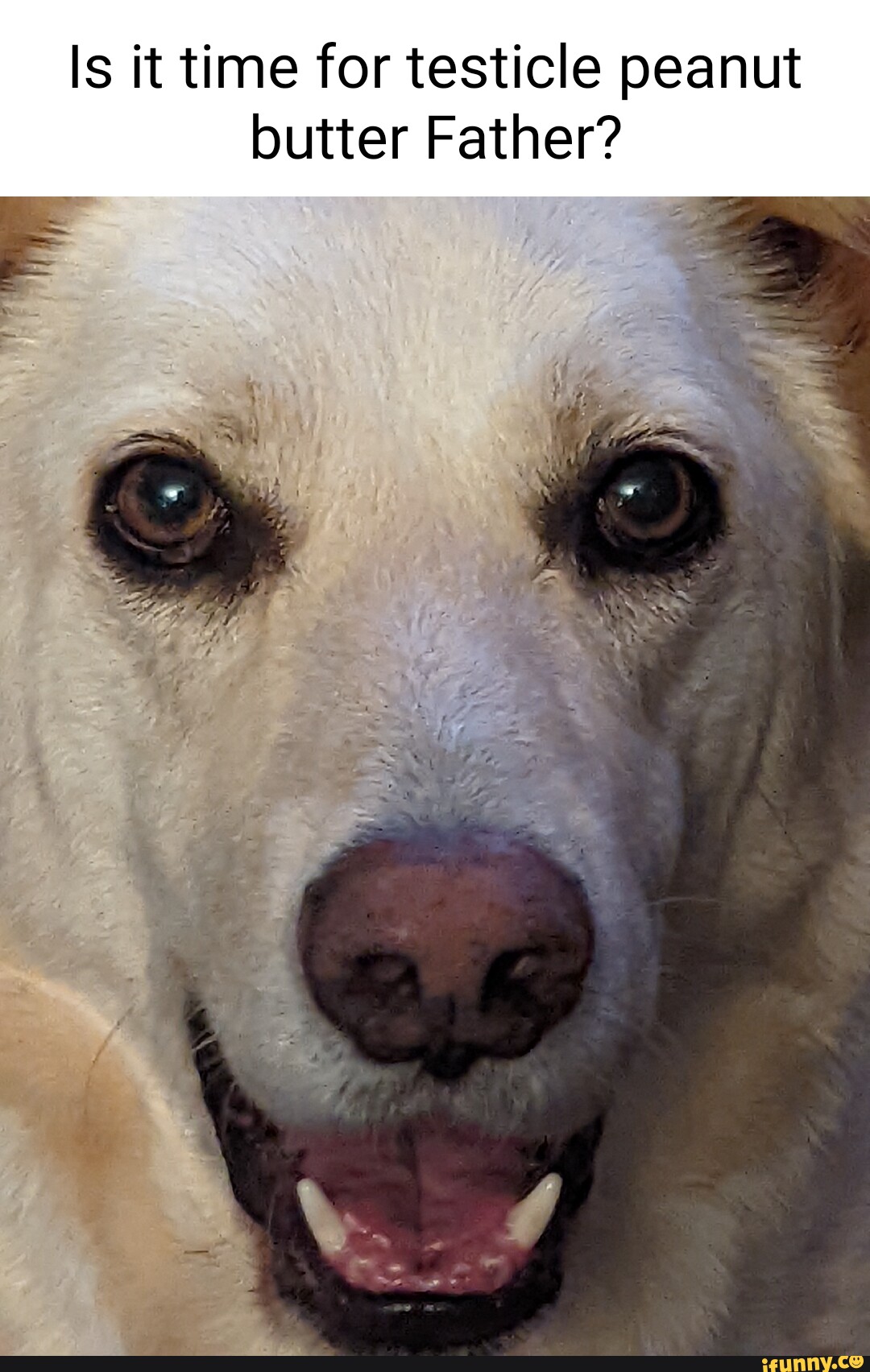 Is it time for testicle peanut butter Father? seo.title