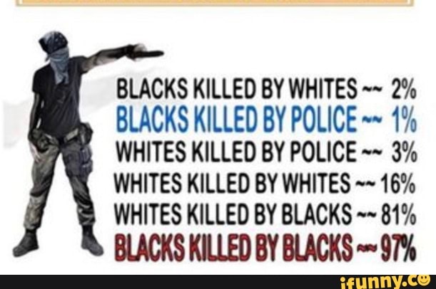 BLACKS KILLED BY WHITES 2%
BLACKS KILLED BY POLICE WHITES KILLED BY POLICE WHITES KILLED BY WHITES 16%
WHITES KILLED BY BLACKS 81%
BLACKS KILLED BY BLACKS