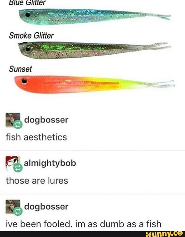 Blue Gutter
Smoke Glitter
Sunset
fish aesthetics
those are lures
ªdogbosser
ive been fooled. im as dumb as a fish