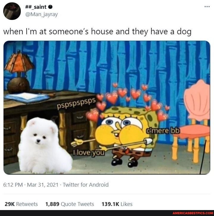 saint @
@Man _jayray
when I'm at someone's house and they have a dog
PM Mar 31, 2021 - Twitter for Android