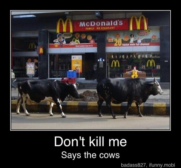 Don't kill me
Says the cows - Don't kill me
Says the cows