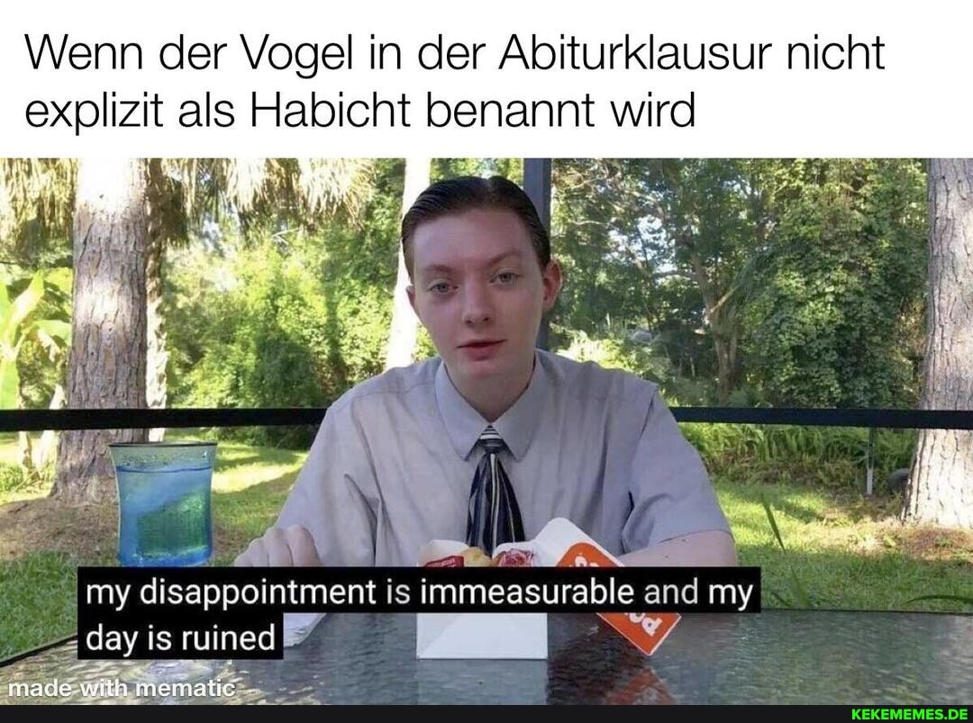 Wenn der Vogel in der Abiturklausur nicht explizit als Habicht benannt wird
my disappointment is immeasurable and my
ruined