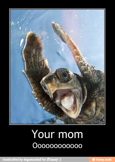 Your mom
000000000000 - Your mom
Oooooooooooo