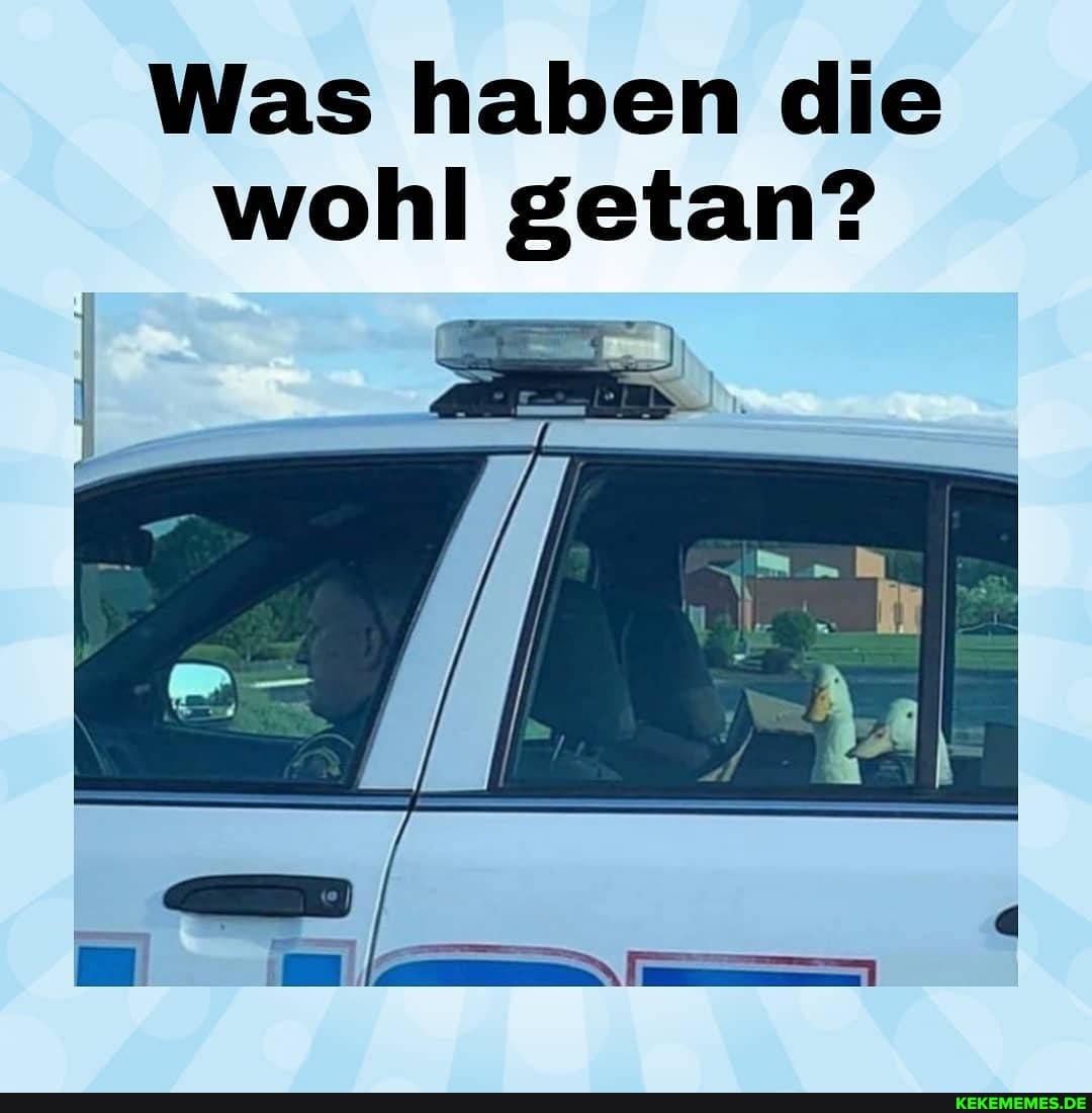 Was haben die wohl getan?