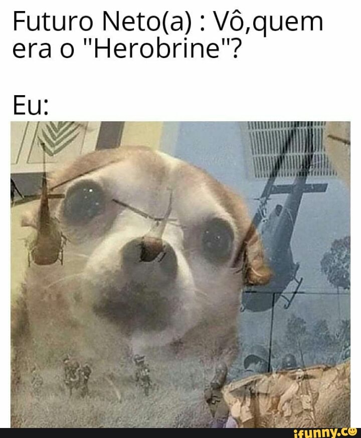Futuro : Vô, quem era o "Herobrine"?
Eu: