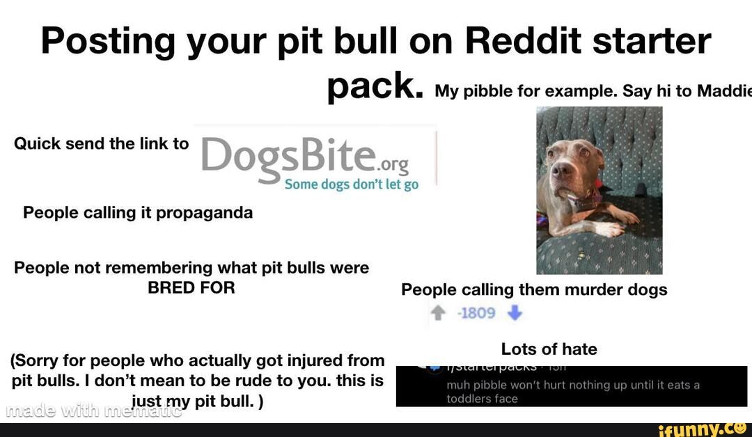 Pibble Memes Best Collection Of Funny Pibble Pictures On Ifunny