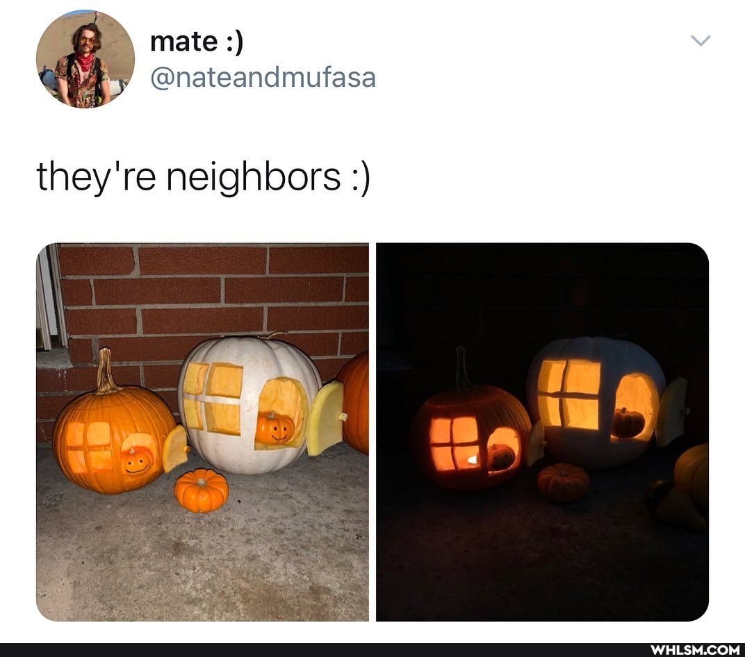 mate
@nateandmufasa
they're neighbors