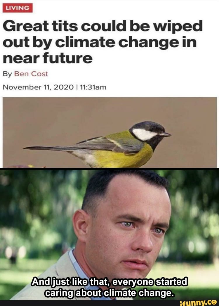 Great tits could be wiped out by climate change in LIVING near future By  Ben Cost November Ti, 2020 I caring about climate change. - iFunny