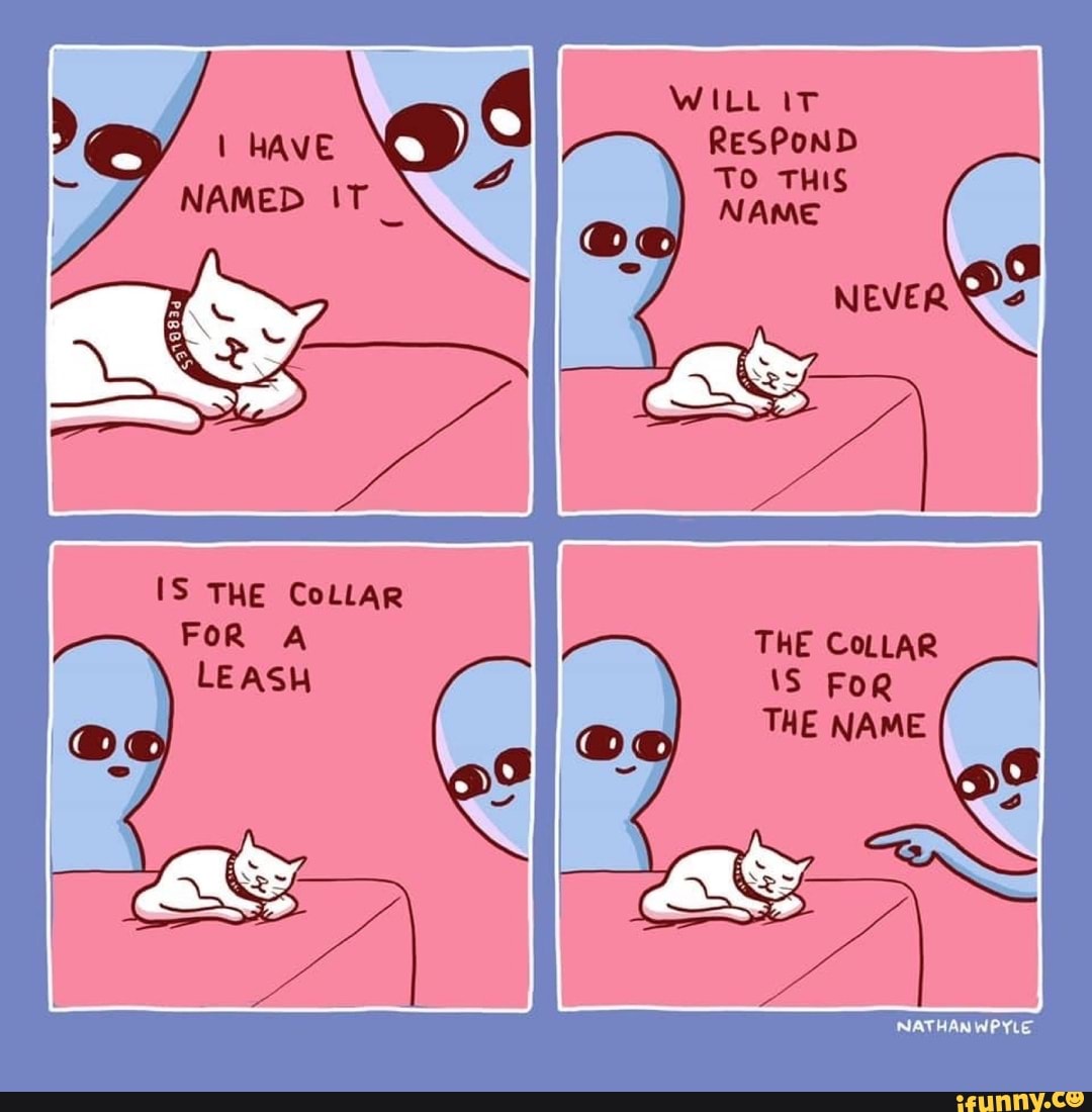 NAMED
WILL IT RESPOND TO THIS NAME
IS THE CoLLAR FoR A THE CoLLAR
\S FoR THE NAME
NATHANWPYLE