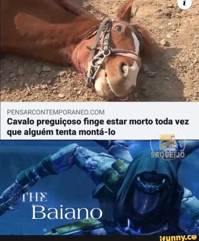 Cavalo preguiçoso finge estar morto toda vez que alguém tenta montá-lo
Baiano