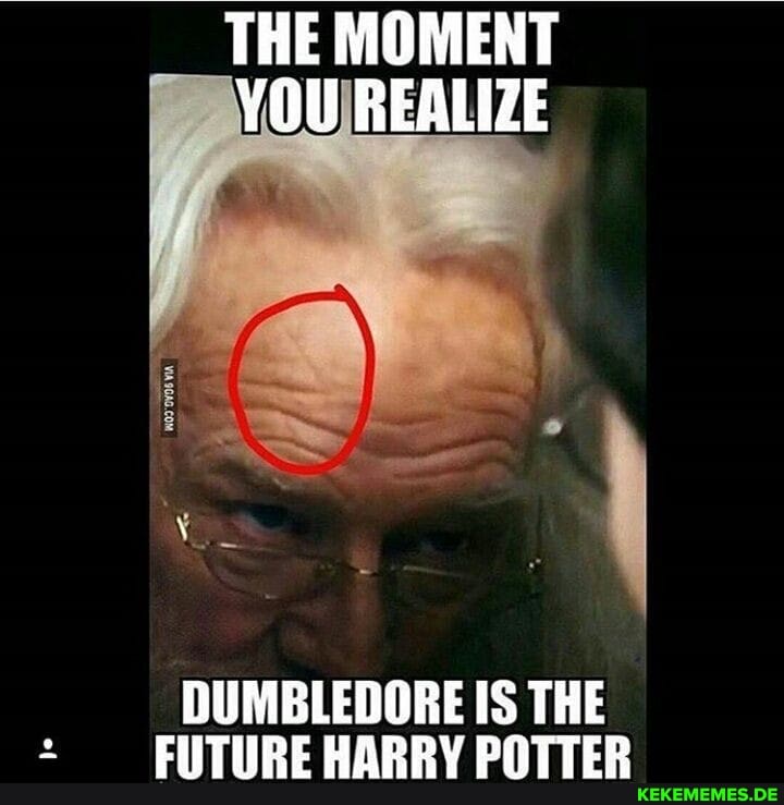 THE MOMENT YOU REALIZE
DUMBLEDORE IS THE FUTURE HARRY POTTER