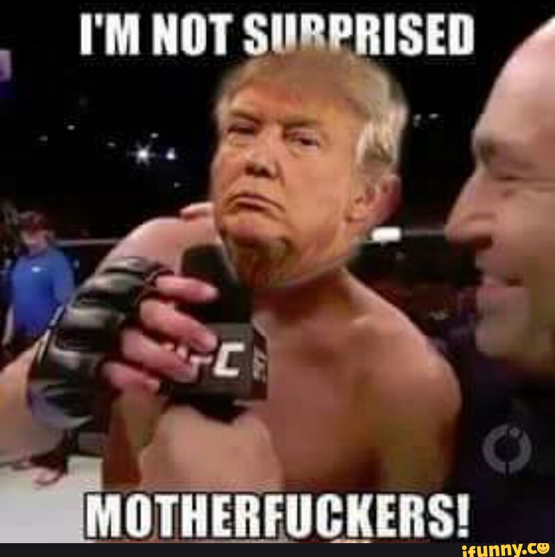 natediaz, ugc, donaldtrump, trump, presidentialelection2016